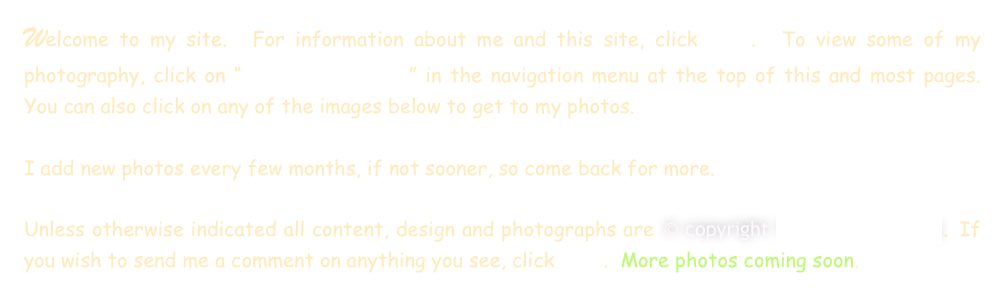 Welcome to my site.  For information about me and this site, click here.  To view some of my photography, click on “Stephen’s Albums” in the navigation menu at the top of this and most pages.  You can also click on any of the images below to get to my photos.  

I add new photos every few months, if not sooner, so come back for more.  

Unless otherwise indicated all content, design and photographs are © copyright Stephen Eisenberg. If you wish to send me a comment on anything you see, click here.  More photos coming soon.